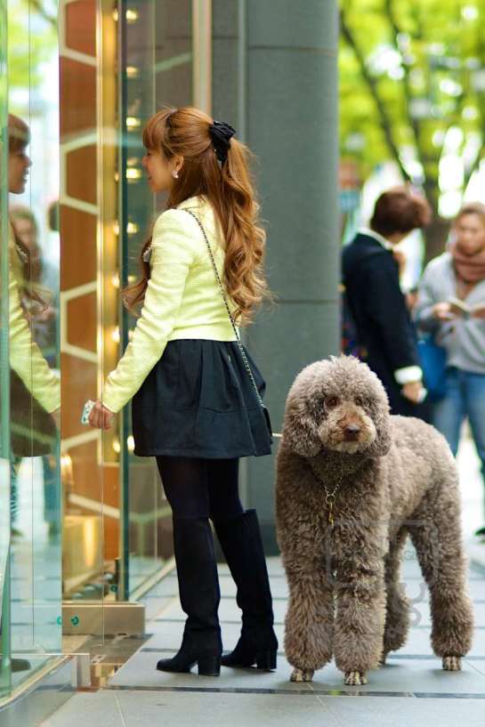 On the street... Omotesando