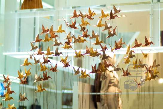 On the street… Omotesando